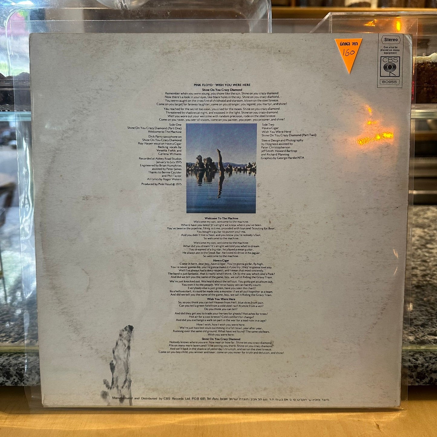 pink floyd - wish you were here