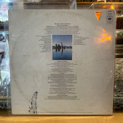 pink floyd - wish you were here
