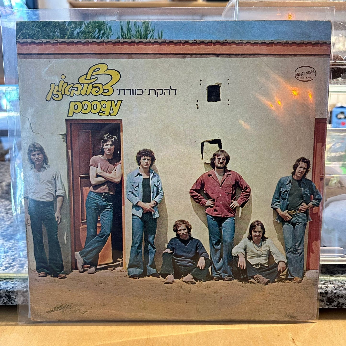 כוורת - צפוף באוזן