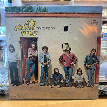 כוורת - צפוף באוזן