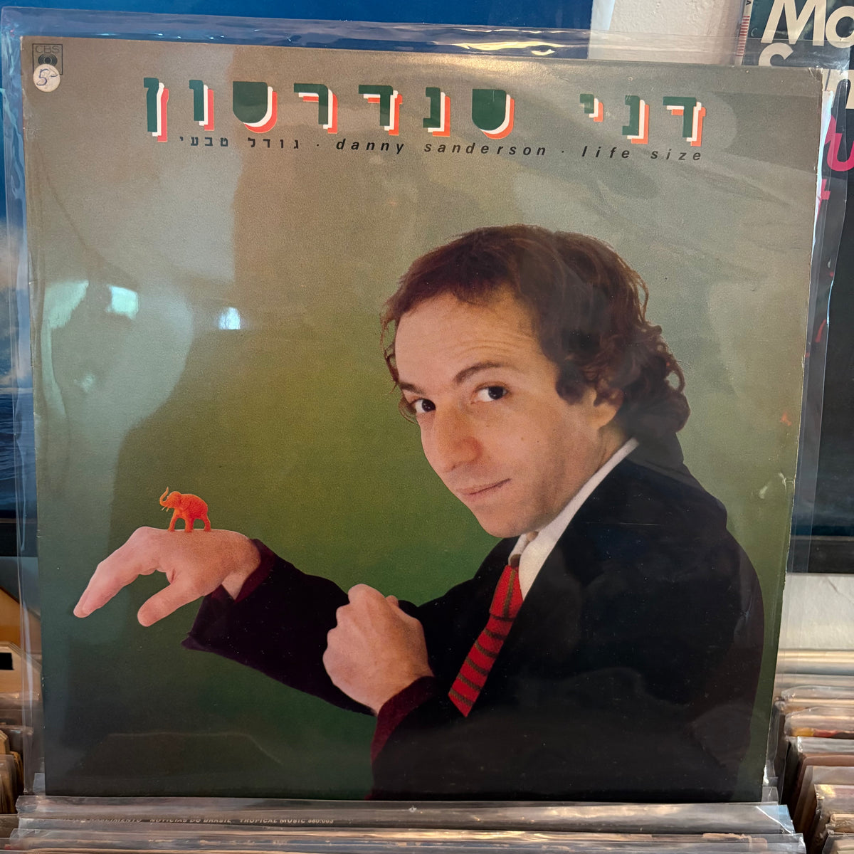 דני סנדרסון - גודל טבעי