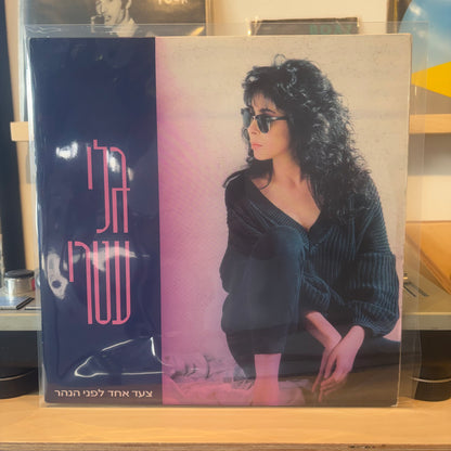 גלי עטרי - צעד אחד לפני הנהר