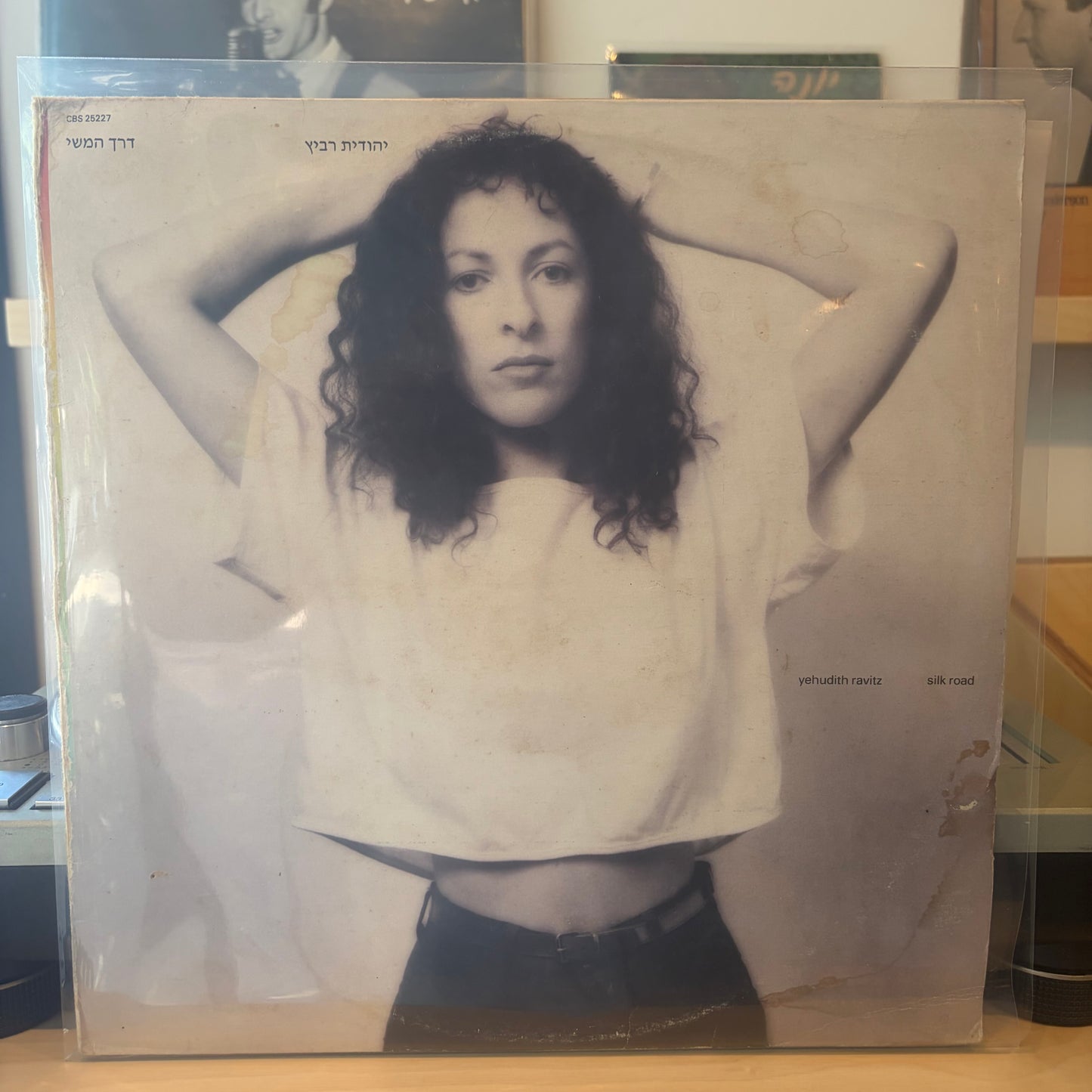 יהודית רביץ - דרך המשי