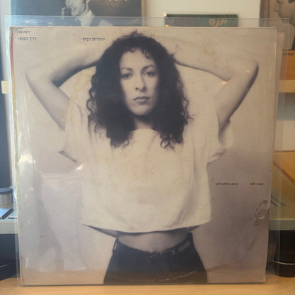 יהודית רביץ - דרך המשי