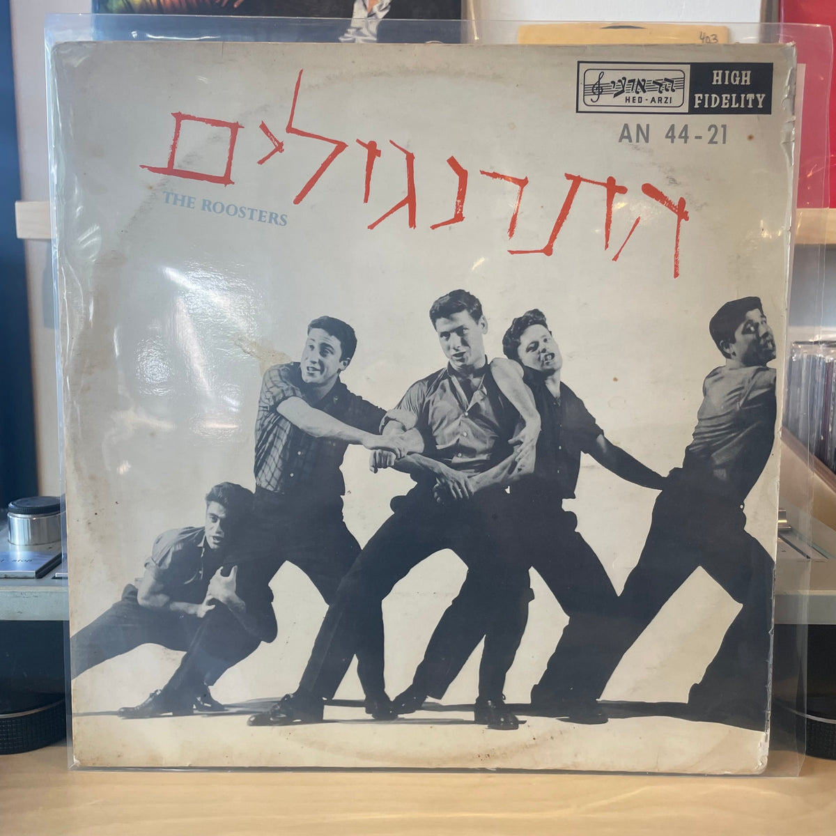 התרנגולים - התרנגולים