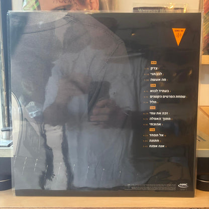 ארז לב ארי - שמחת הפרטים הקטנים