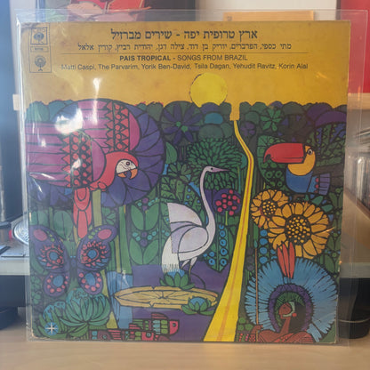 מתי כספי הפרברים יוריק בן דוד מילה דגן יהודית רביץ קורין אלאל - ארץ טרופית יפה שירים מברזיל