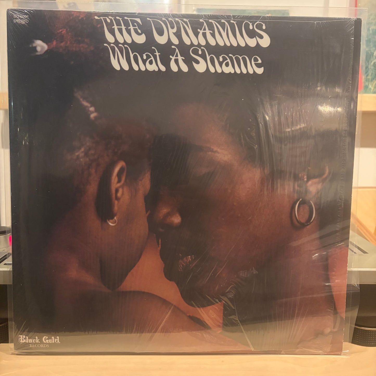 The Dynamics - What A Shame