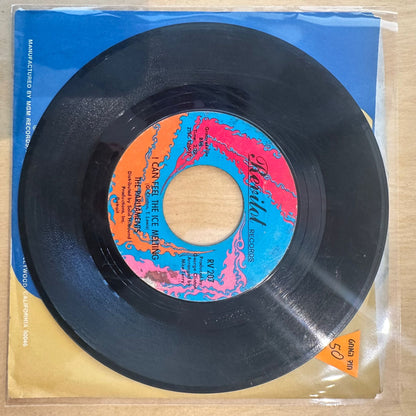 The Parliaments — (I Wanna) Testify 7"