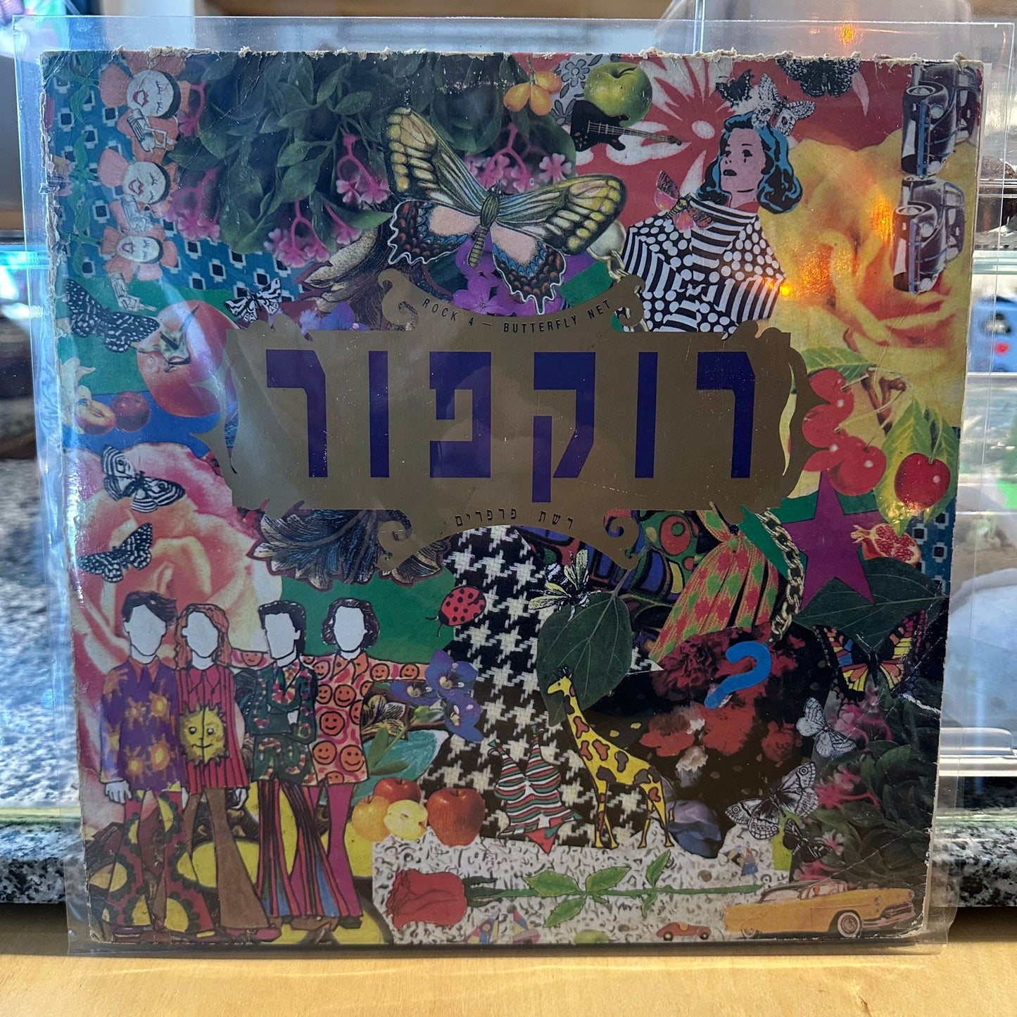 רוקפור – רשת פרפרים