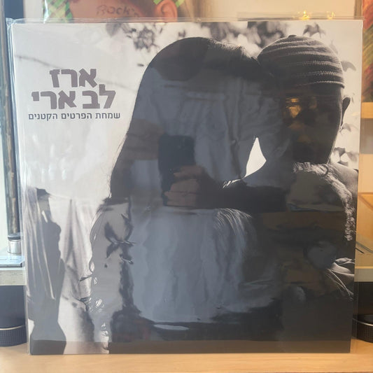 ארז לב ארי - שמחת הפרטים הקטנים