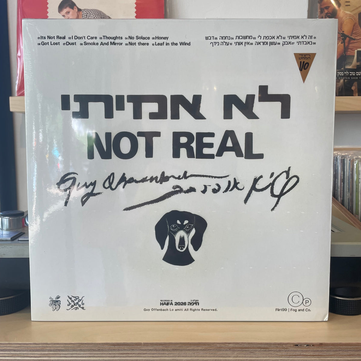 גיא אופנבך - לא אמיתי