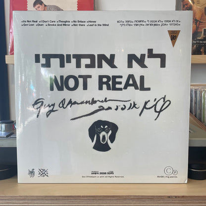 גיא אופנבך - לא אמיתי