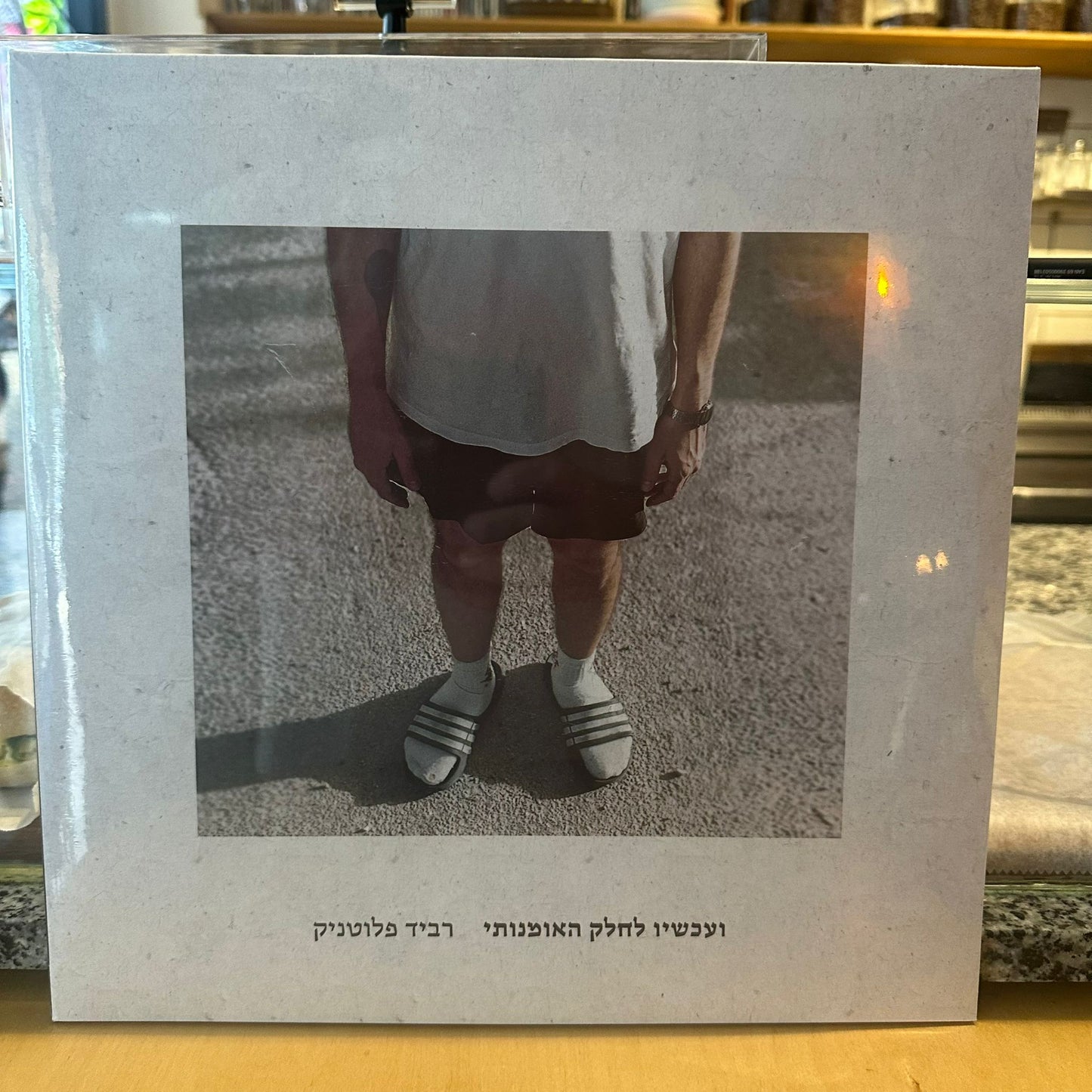 רביד פלוטניק - ועכשיו לחלק האומנותי