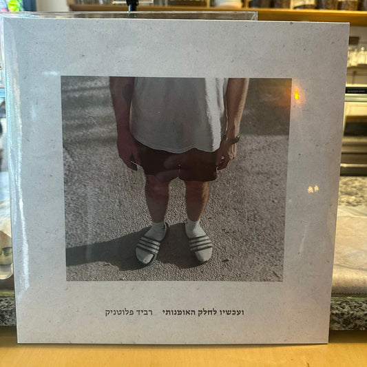 רביד פלוטניק - ועכשיו לחלק האומנותי