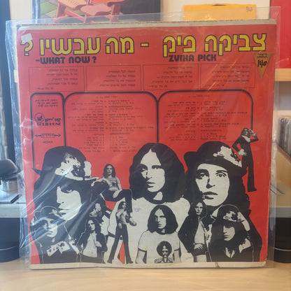 צביקה פיק - מה עכשיו?