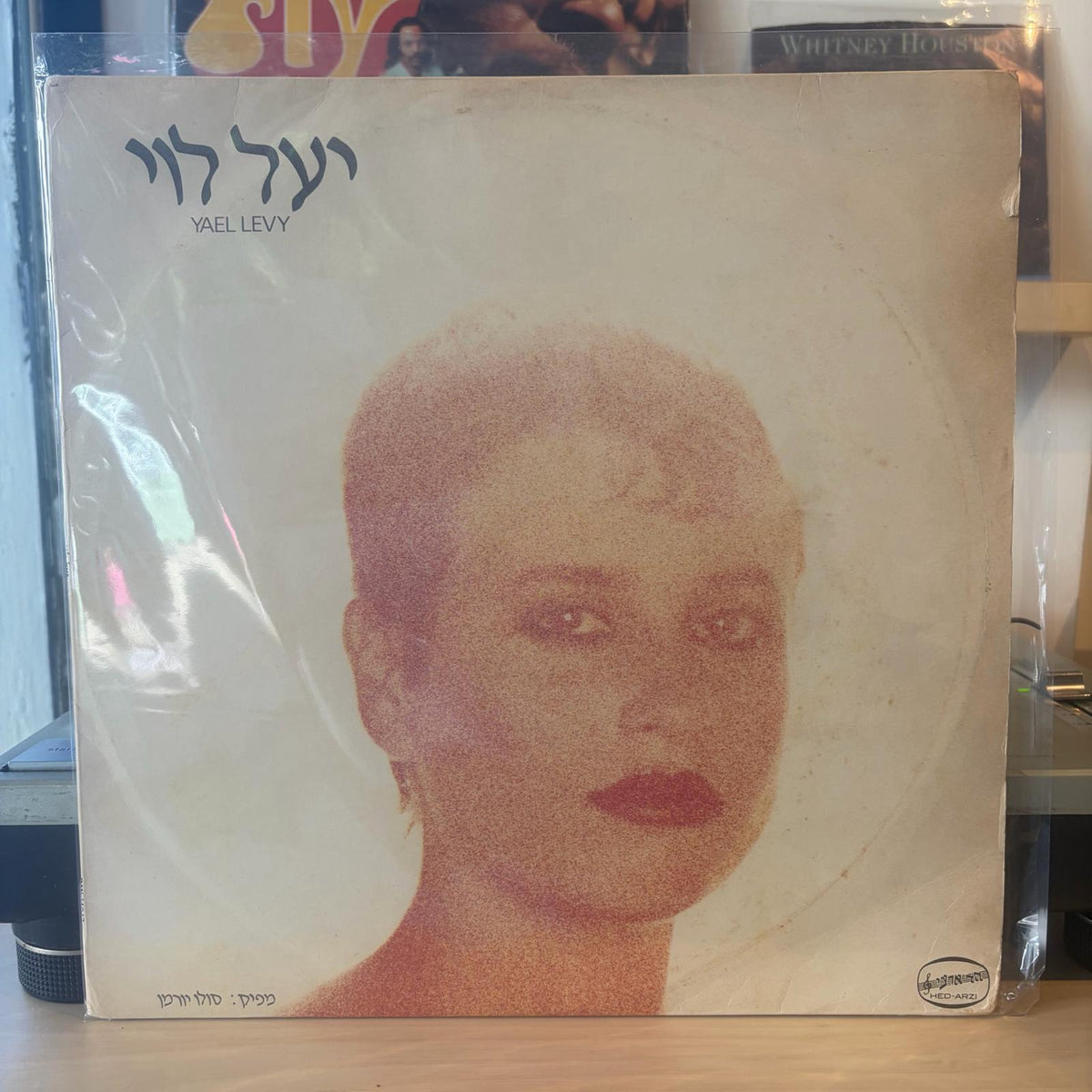 יעל לוי - יעל לוי