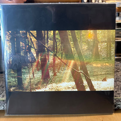 Childish Gambino - Camp