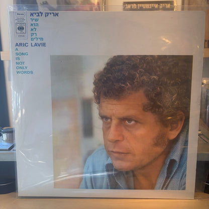 אריק לביא - שיר הוא לא רק מילים