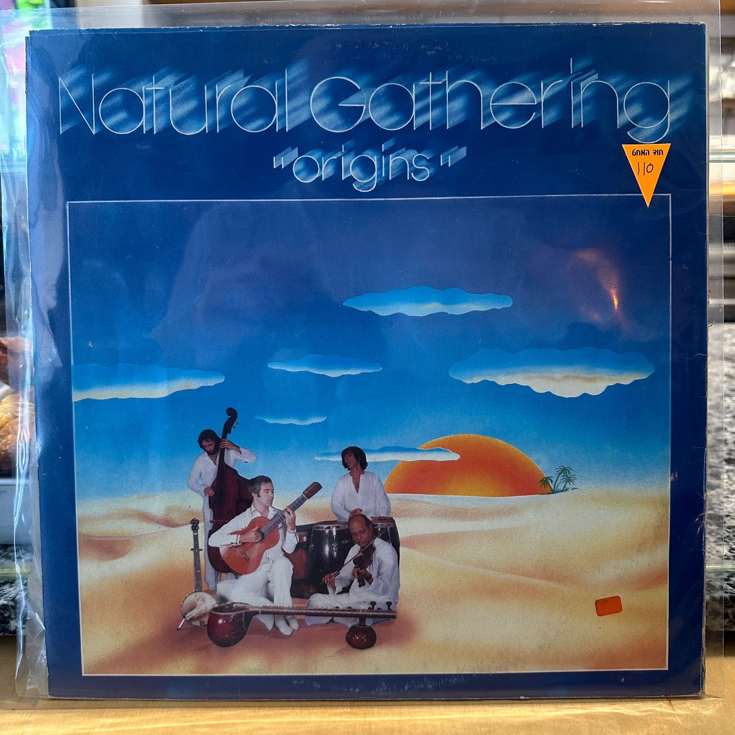 הברירה הטבעית - אלי שורשים