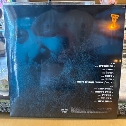 שולי רנד - נקודה טובה