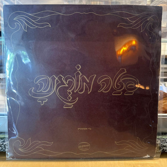 גרי אקשטיין משה לוי - פטה מורגנה