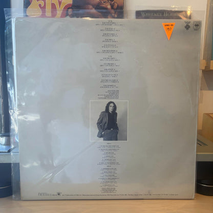 צביקה פיק - אוסף פרטי