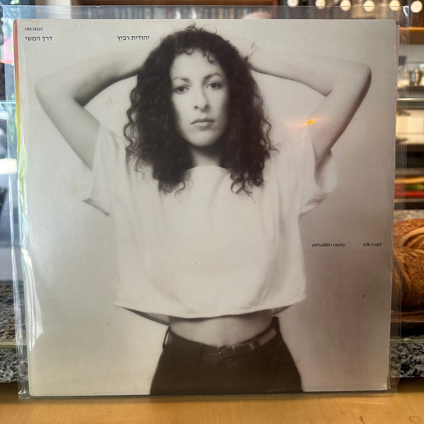 יהודית רביץ – דרך המשי