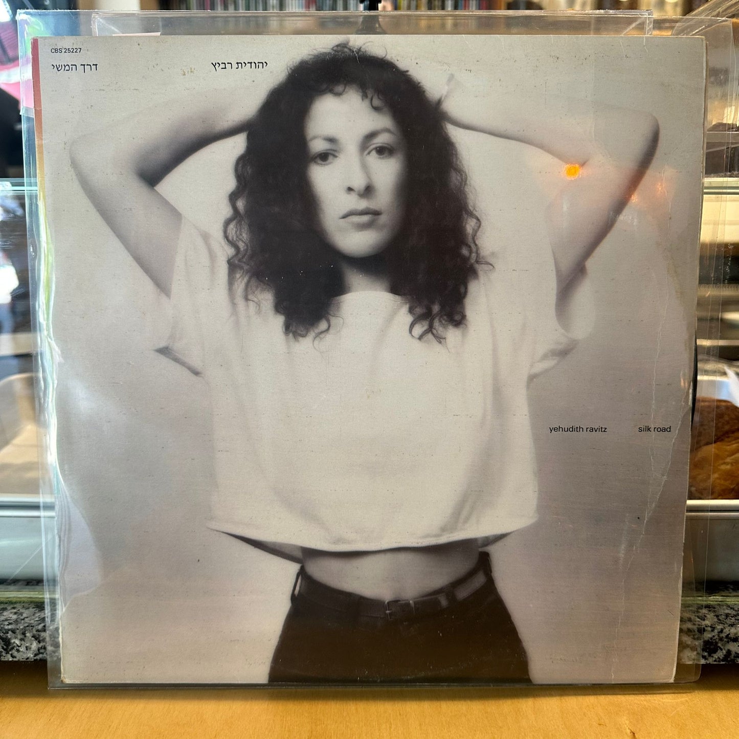 יהודית רביץ - דרך המשי