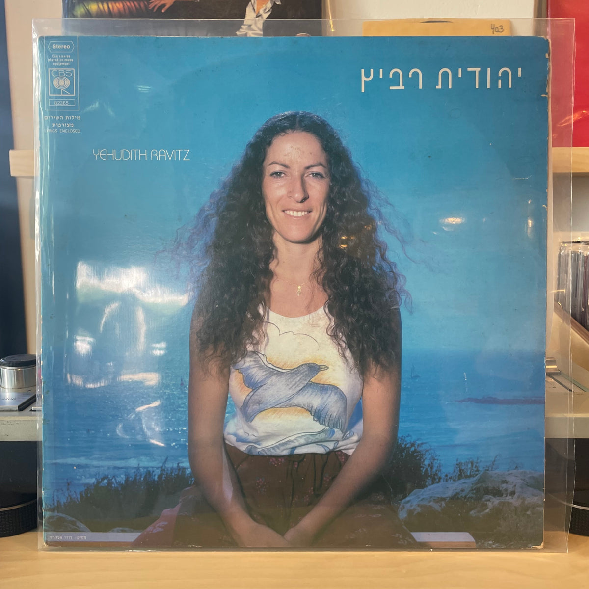 יהודית רביץ - יהודית רביץ