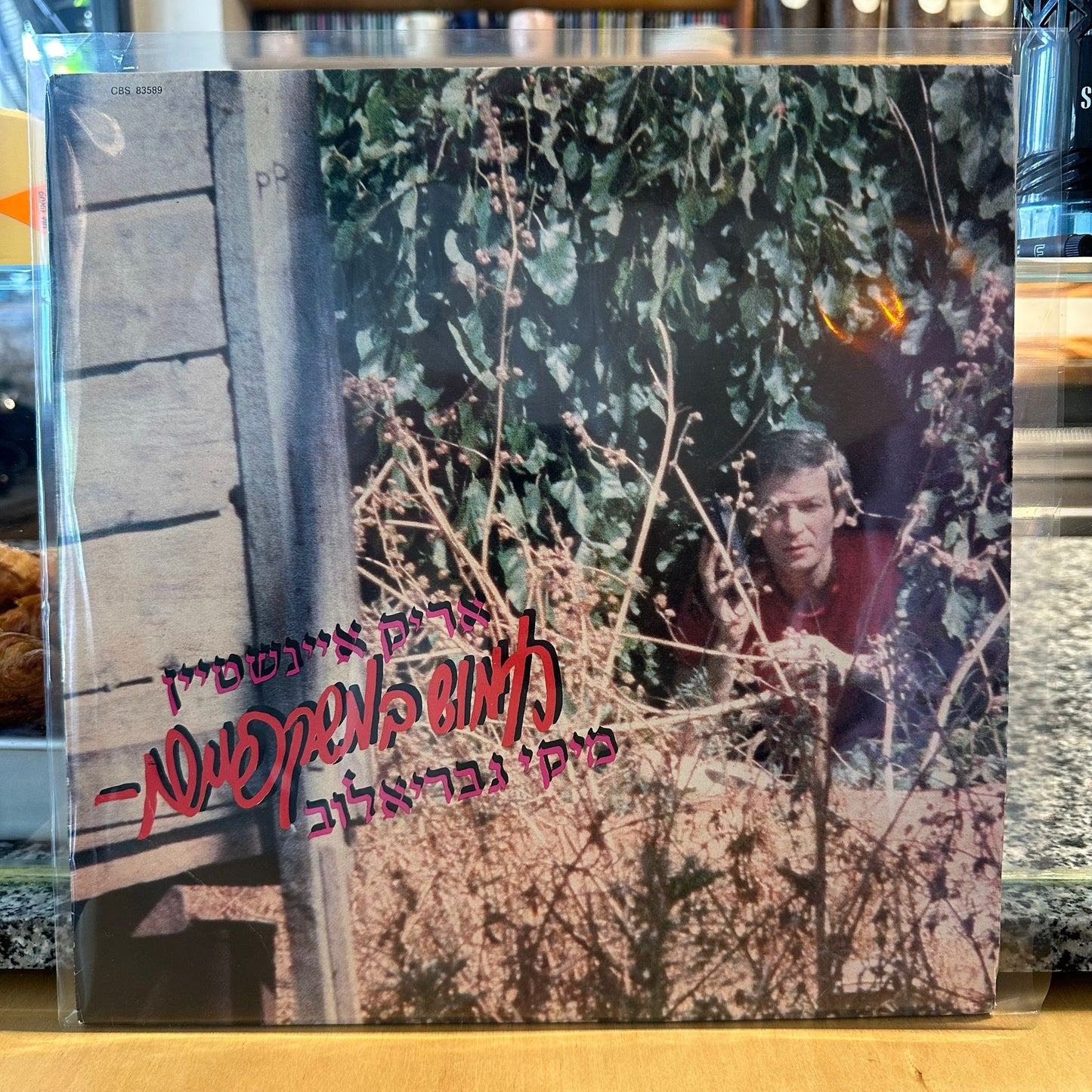 אריק איינשטיין מיקי גבריאלוב - חמוש במשקפיים