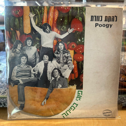 כוורת - פוגי בפיתה