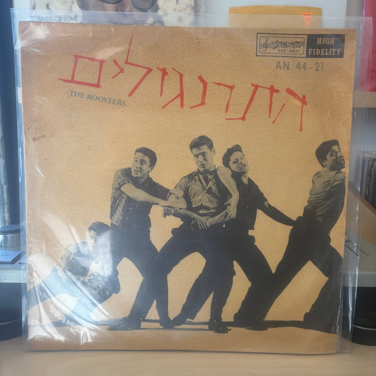 התרנגולים - התרנגולים