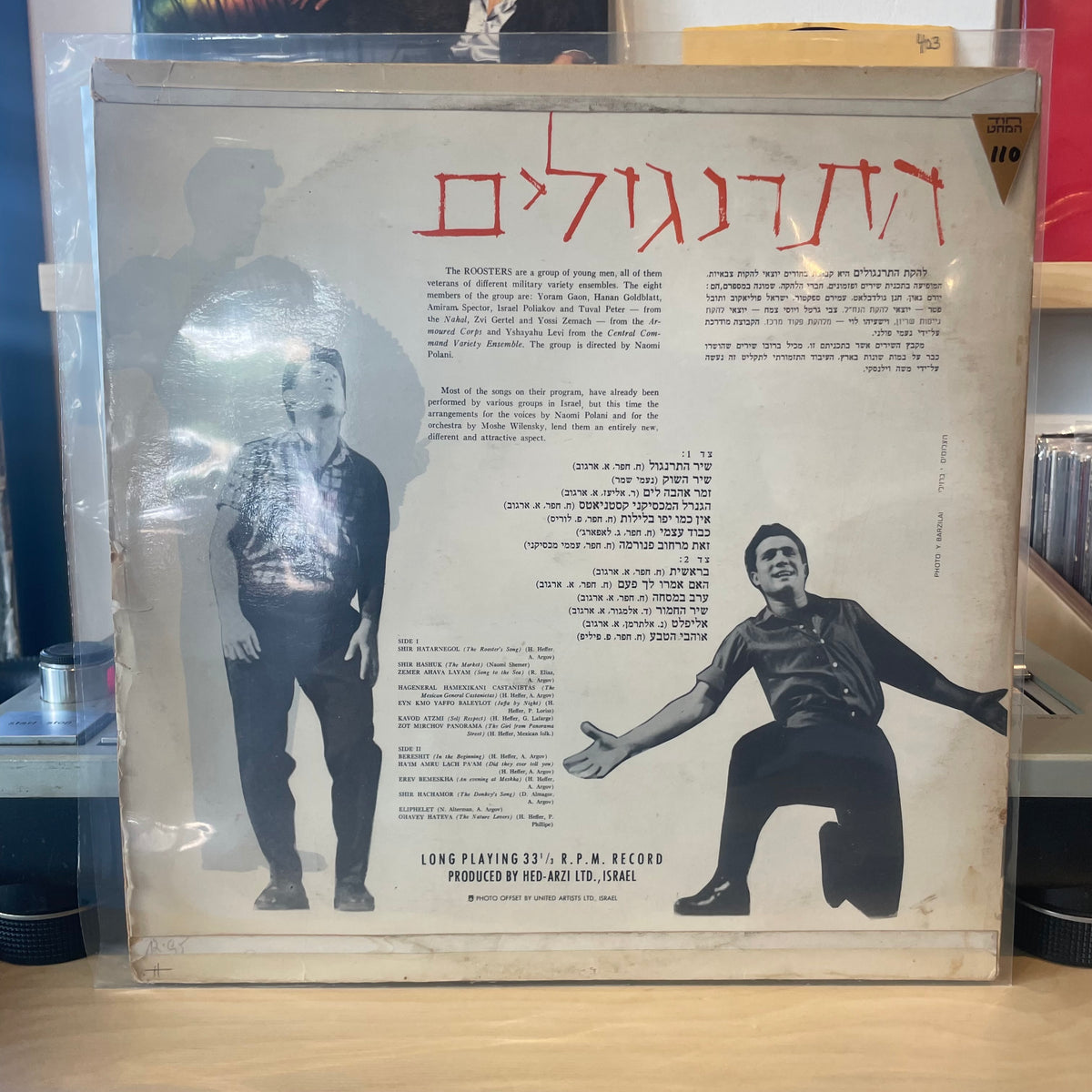 התרנגולים - התרנגולים