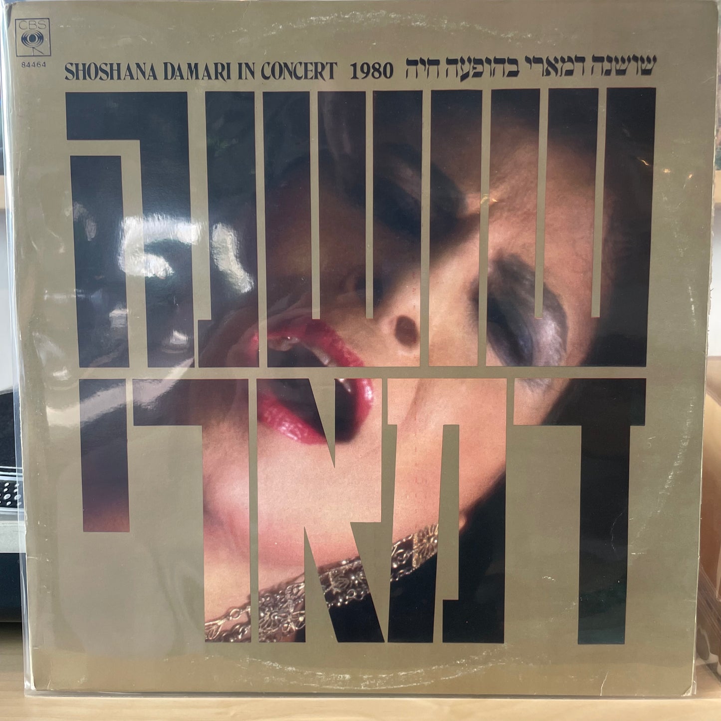 שושנה דמארי - בהופעה חיה 1980