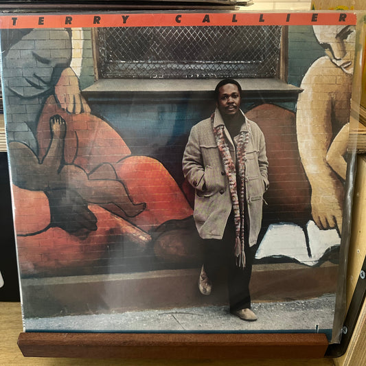 Terry Callier - fire on ice