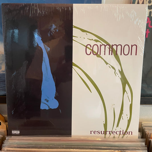 Common - resurrection