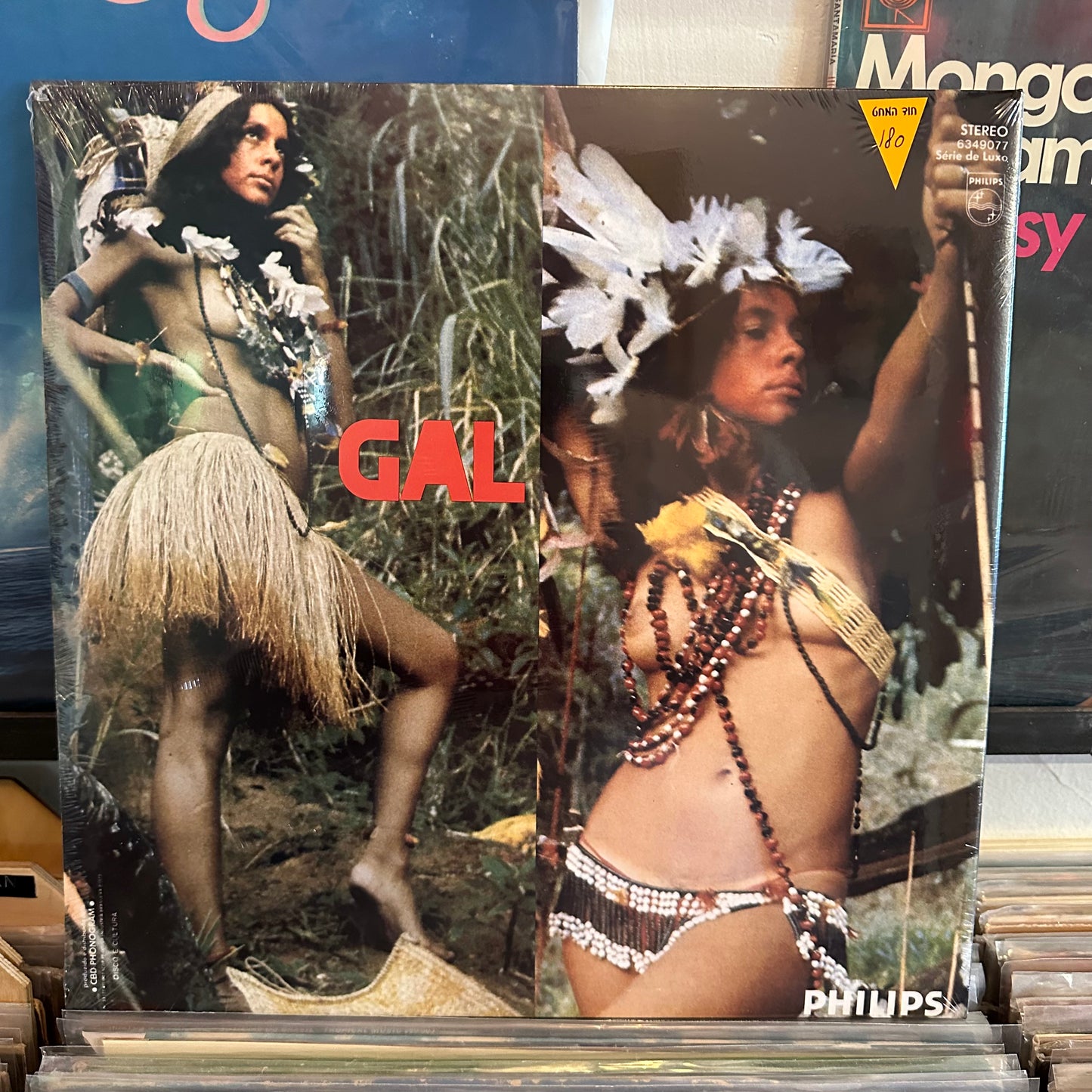 Gal Costa - India