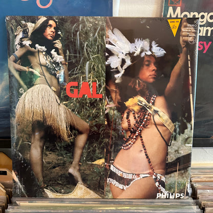Gal Costa - India