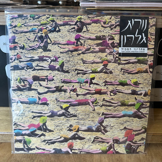 נורית גלרון - אחרינו המבול