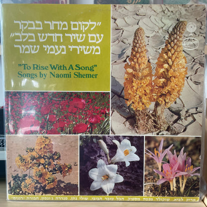 אוסף - לקום מחר בבקר עם שיר חדש בלב - משירי נעמי שמר