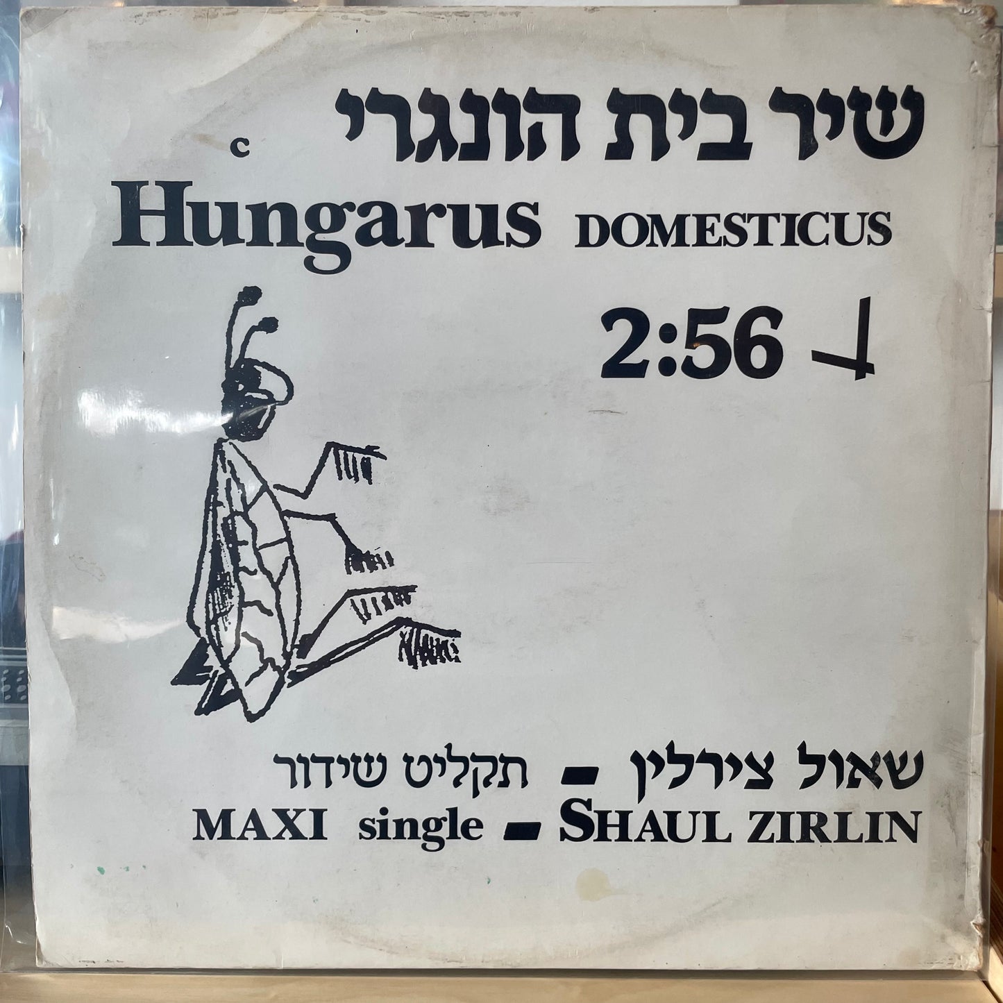 שאול צירלין - שיר בית הונגרי