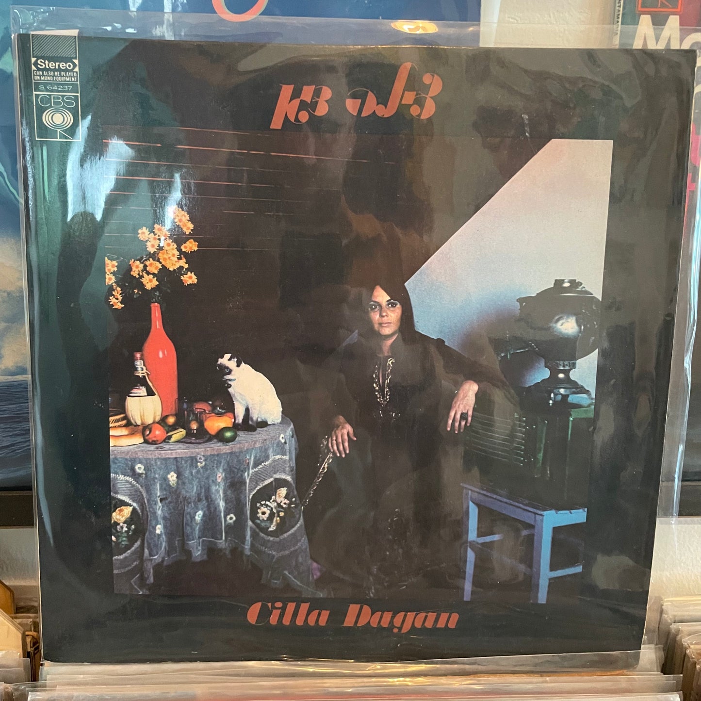 צילה דגן - צילה דגן