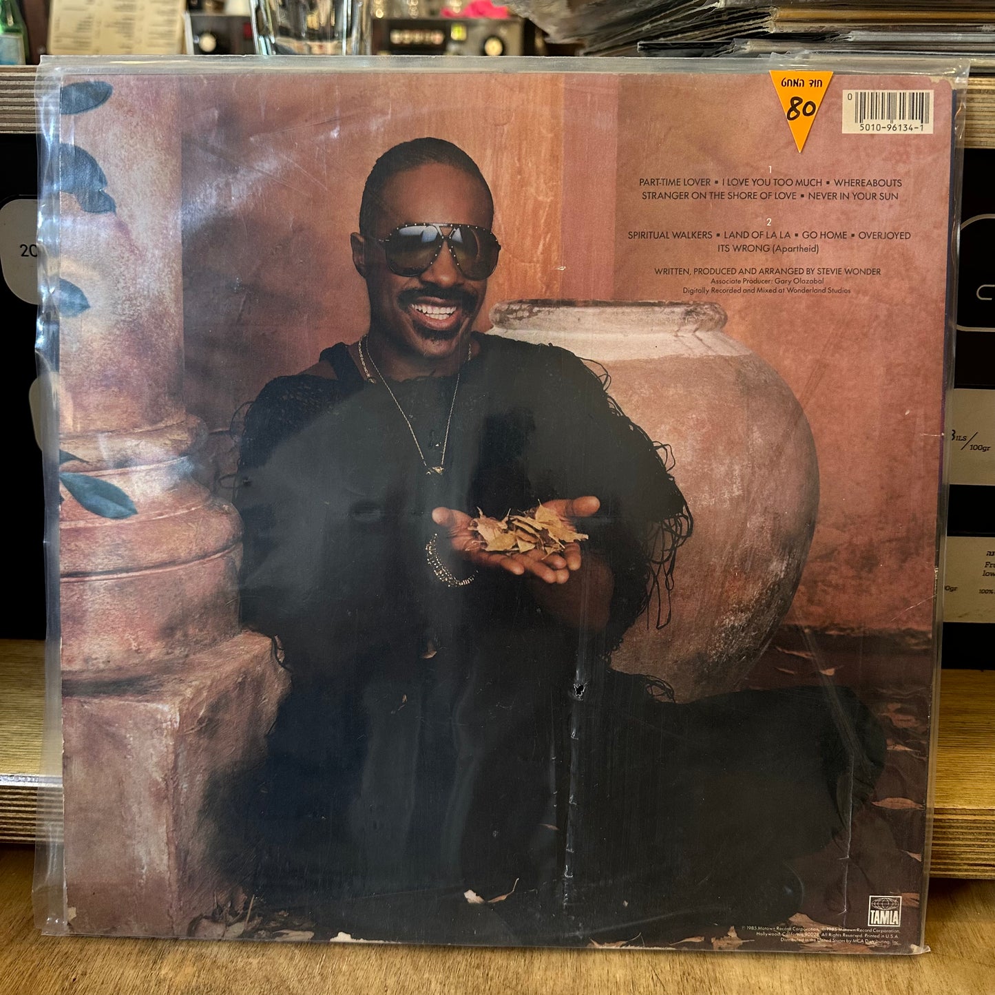 Stevie wonder - in square circle