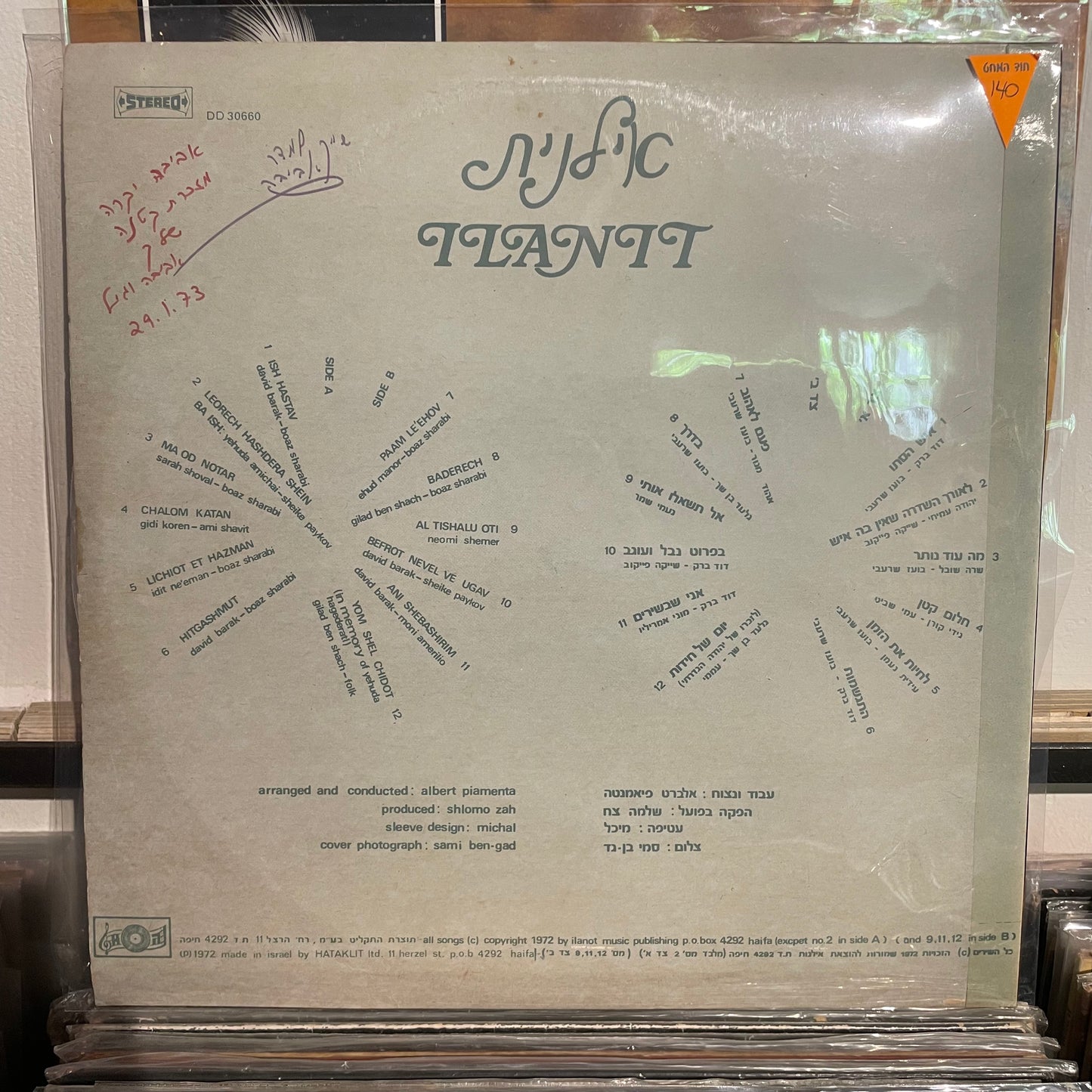 אילנית - אילנית