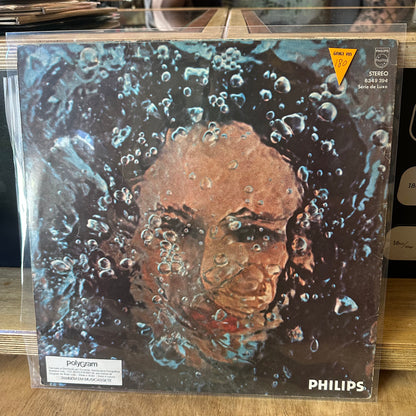 Gal Costa - Água Viva