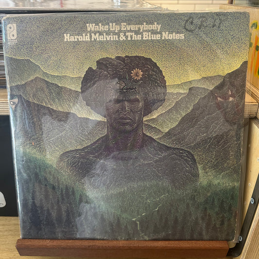 Harold Melvin & the blue notes - wake up everybody