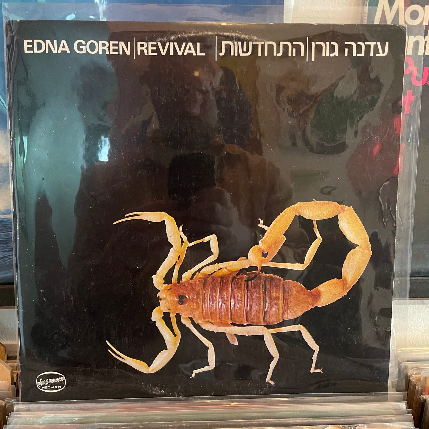 עדנה גורן - התחדשות
