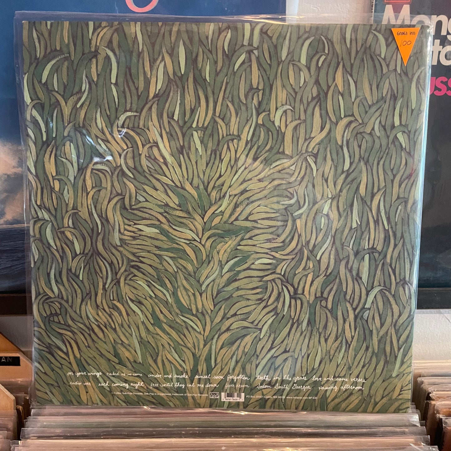 Iron & wine - our endless numbered days