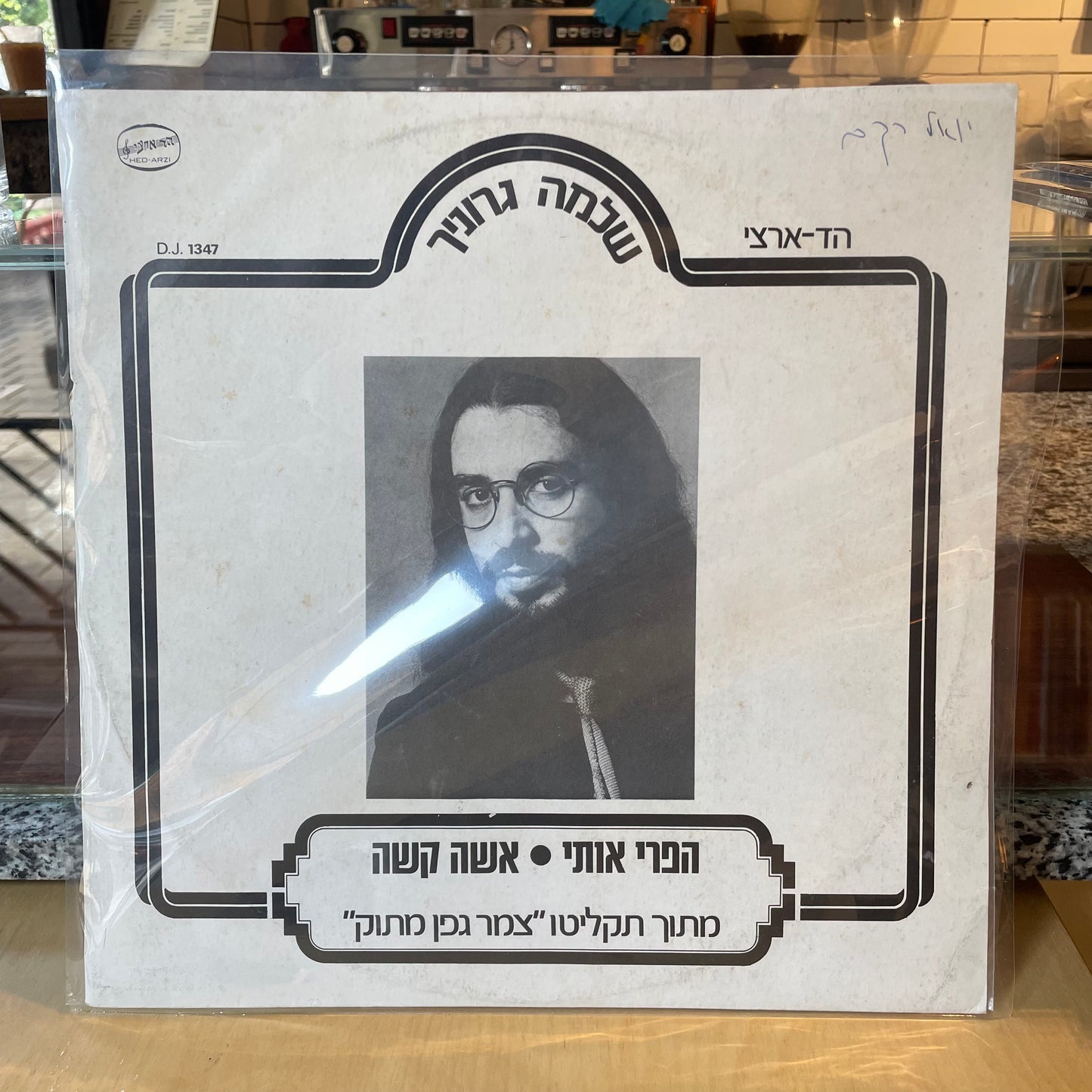 שלמה גרוניך - הפרי אותי אשה קשה - שדרים